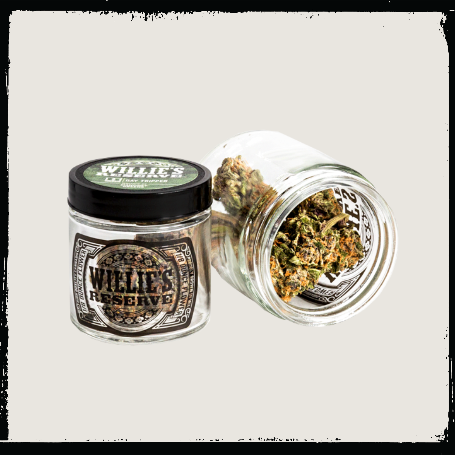 Premium Flower Jars